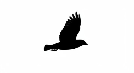 Obraz premium Majestic Silhouette of a Bird in Flight: A Striking Black and White Image Perfect for Design Projects, Graphic Arts, and Creative Visuals. This high-resolution image captures the elegance and free...
