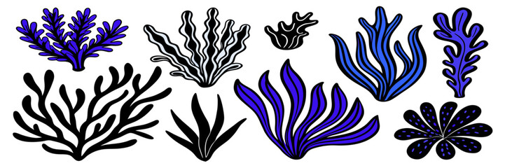 Collection of Hand-Drawn Seaweed & Aquatic Plants