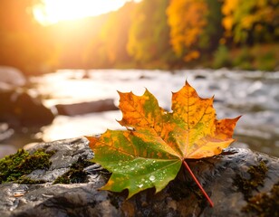 Autumn leaf on a rock by a stream