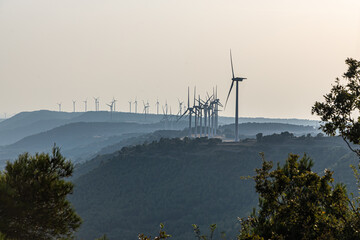 Wind Turbines in Scenic Landscape at Sunset