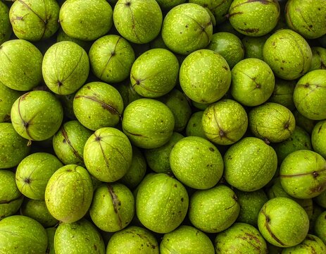 Close-up view of many green walnuts - Powered by Adobe