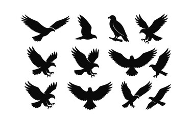 Obraz premium Silhouette birds collection: diverse eagle and hawk poses