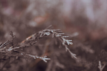 Fototapeta premium Beautiful Nature Wallpaper Background – Scenic Landscape, Peaceful Outdoors, High Resolution