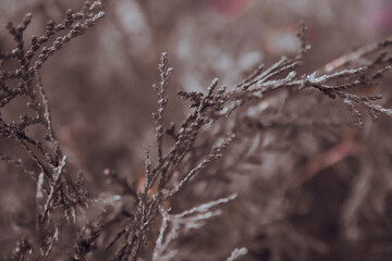 Beautiful Nature Wallpaper Background – Scenic Landscape, Peaceful Outdoors, High Resolution