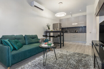 An open-plan urban apartment. A cozy living area and a modern kitchen with stylish 
accessories in...