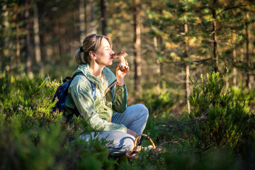 Content woman forager holding boletus mushroom and smelling scent, sitting in heather bushes in woodland. female picking porcini mushroom in autumn forest, nature walking, collecting food in basket. 