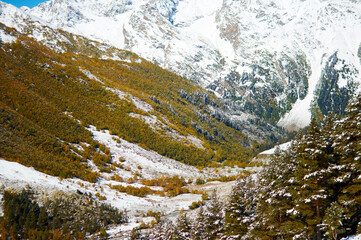 A stunning contrast in Gwandra where snow-capped peaks pierce the blue sky while the foreground valley blazes with autumn's golden embrace.