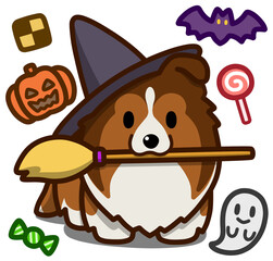 ハロウィン仮装のセーブルのシェルティまたはラフコリー