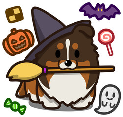 ハロウィン仮装のトライカラーのシェルティまたはラフコリー