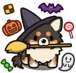 ハロウィン仮装のブラックアンドタンのチワワ