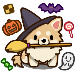 ハロウィン仮装のクリームアンドホワイトのチワワ