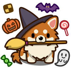 ハロウィン仮装のレッドアンドホワイトのチワワ