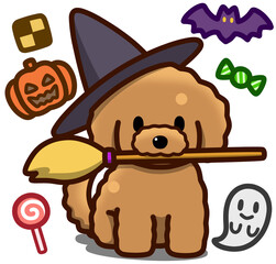 ハロウィン仮装のアプリコットのトイプードル