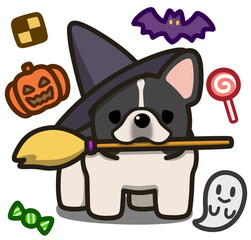 ハロウィン仮装のパイドのフレンチブルドッグ