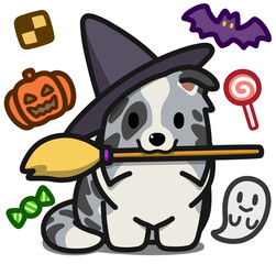 ハロウィン仮装のブルーマールのボーダーコリー