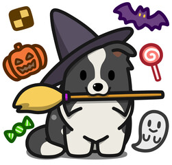 ハロウィン仮装のブラックアンドホワイトのボーダーコリー