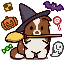 ハロウィン仮装のチョコカラーのボーダーコリー
