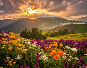 Bunte Blumenwiese