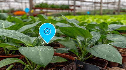 Green plants growing in a greenhouse with a location pin overlay