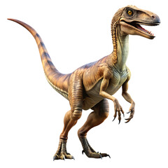 Fototapeta premium Realistic Velociraptor dinosaur standing with open mouth prehistoric ancient cutout PNG isolated on a transparent background