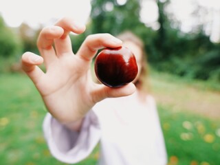 Child holding a chestnut in hand outdoors in autumn