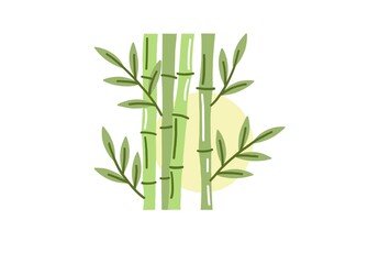 bamboo isolated on white background