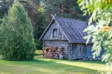 Rustic wooden cabin nestled in lush greenery, surrounded by tall trees and vibrant grass, showcasing traditional architecture and serene natural environment