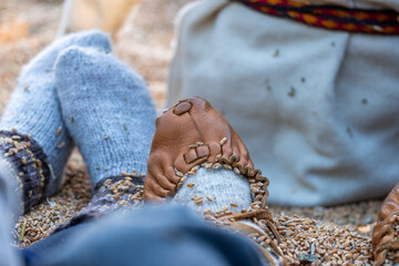 Childrens feet adorned in traditional stockings, resting on grains in a field, showcasing folk culture and the beauty of childhood in a natural setting