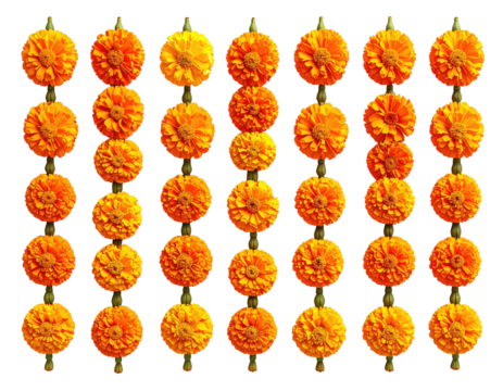 Floral garland, orange marigolds, symmetrical pattern