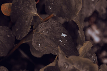 Bright and Colorful Scenery Stunning Visual Art