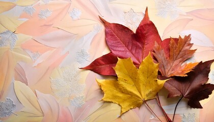 Vibrant Autumn Leaves Overhead Flat Lay Natural Seasonal Still Life