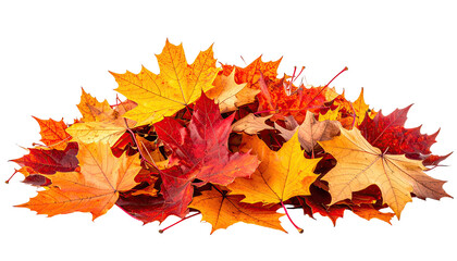 Fototapeta premium Pile of vibrant autumn leaves