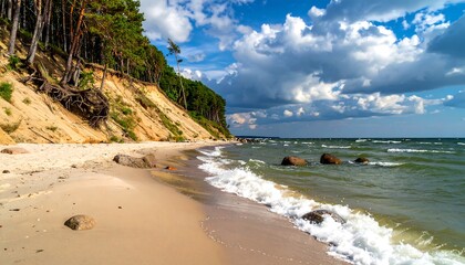 Coastal landscape with sandy beach and pine trees
