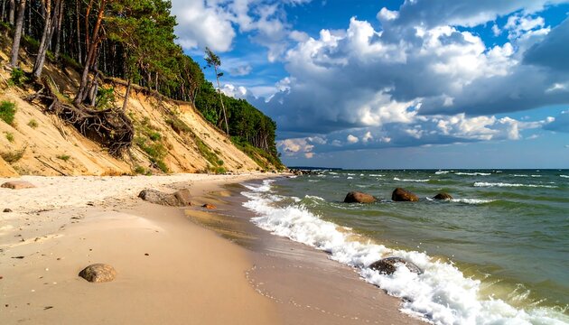 Coastal landscape with sandy beach and pine trees