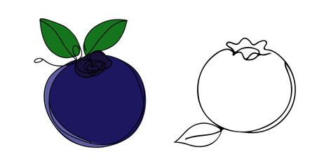 Blueberry fruit one line art illustration in black minimalist style with color accent