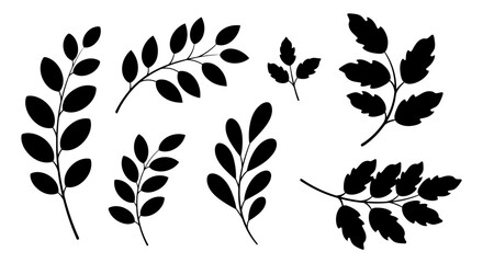 Botanical Illustration Set of Tree Branches with Leaves