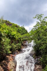 Cascading waterfall flowing over rocks in tropical forest