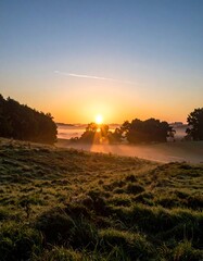 Sunrise over a grassy field (1)