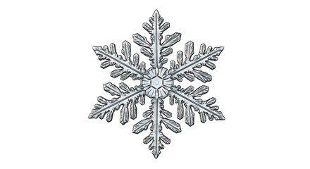Detailed snowflake image