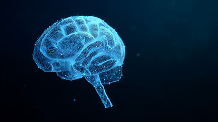 3D rendering of a human brain with a glowing, wireframe structure against a dark background