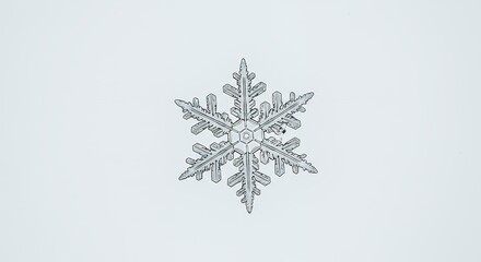 Detailed snowflake design
