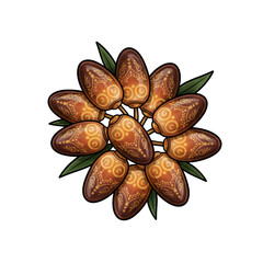 Dates Fruit Isolated on White Background &ndash; Organic Dried Sweet Superfood