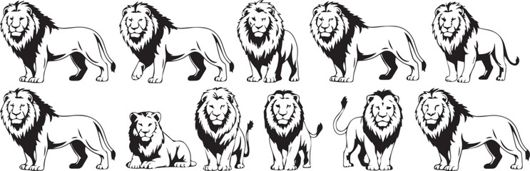 black and white lion vector illustrations set bold lineart poses mane study royalty and heraldic badge designs