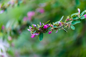 散歩の途中で見つけた光景