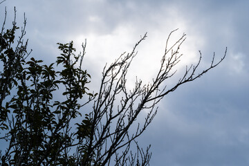 散歩の途中で見つけた光景