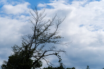 散歩の途中で見つけた光景