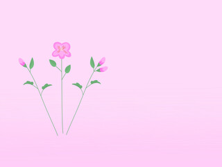 pink background with pink flowers