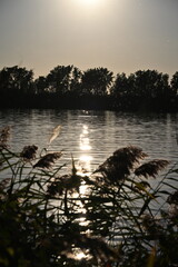 L&eacute;on-Gravel Park - Brossard - Montreal - Canada Nature