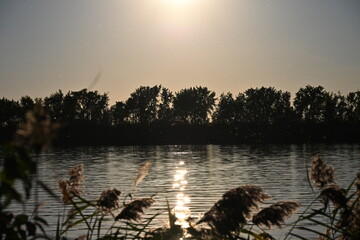 L&eacute;on-Gravel Park - Brossard - Montreal - Canada Nature