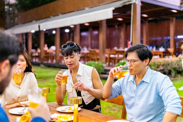 Group of Happy diverse Asian millennial people friends enjoy meeting holiday celebration social gathering dinner party in garden evening, drinking beer and talking together outdoor festive event.